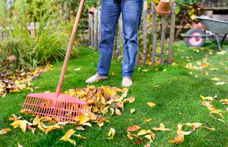 Aspira foglie da giardino: non sbagliare quando lo acquisti