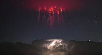 Porto Rico: uno strano e affascinante fenomeno diventa virale