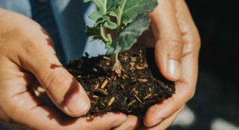 I fiori possono essere davvero strani: quelli che probabilmente non hai mai visto