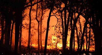 Vesuvio, brucia ancora il Parco Nazionale: ingenti i danni