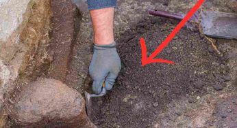 Lo hanno scoperto all’interno di questa tomba. Ritrovamento lascia senza parole