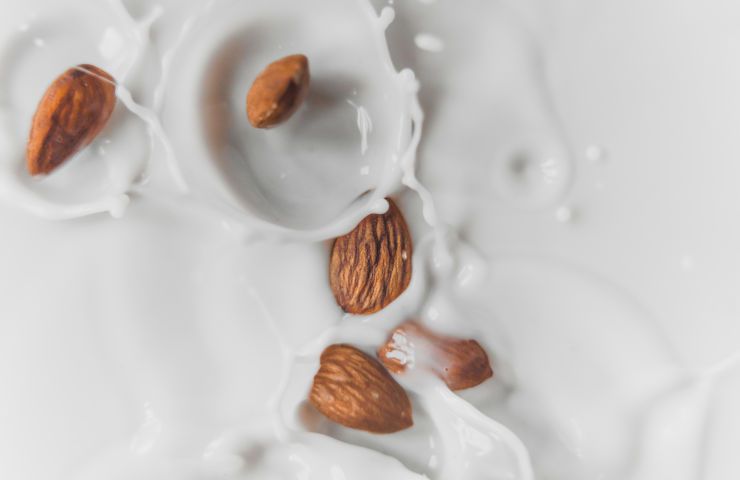 Latte avena latte soia più sostenibili