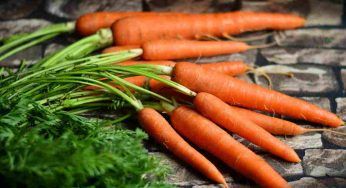Il fiore che puoi trovare in cucina “senza volerlo”: guarda bene le carote
