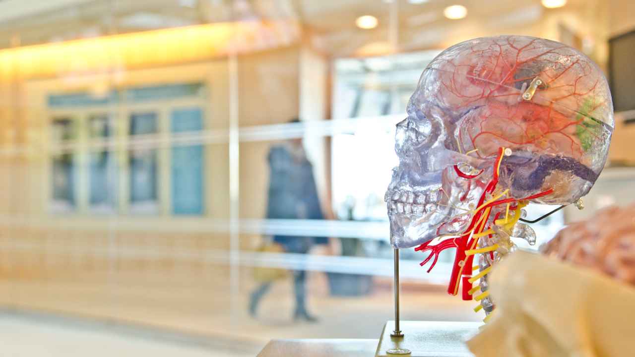 presenza microplastiche corpo conseguenze cervello