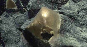 Alaska, trovato strano oggetto dorato sul fondale marino