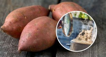 Patate dolci, come cucinarle correttamente: il metodo efficace per conservare le loro proprietà