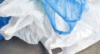 Giornata internazionale senza sacchetti di plastica: l’obiettivo salvaguardare oceani e mari