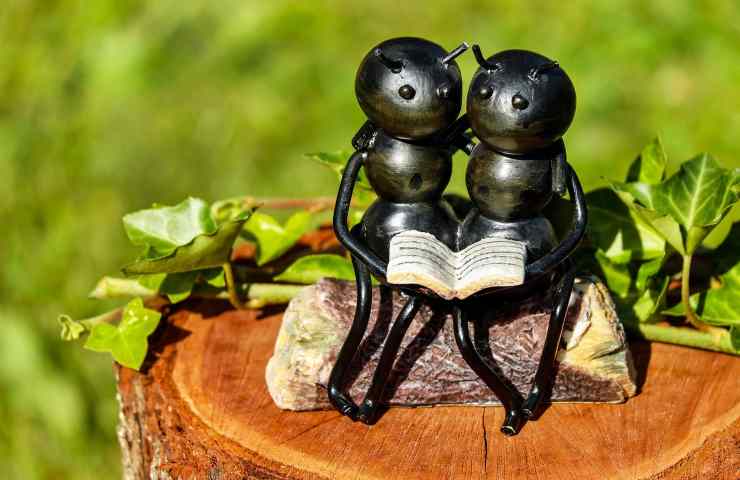 interpretazione sogni psicanalisi formiche