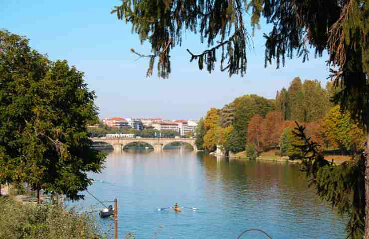 Timori per il Parco delta del Po: messo all'asta per essere edificato, di cosa si tratta 