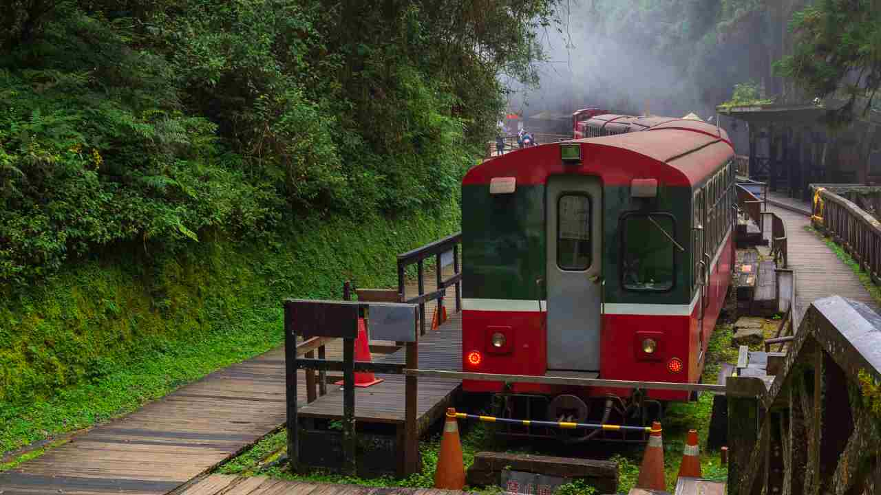 Treno foliage