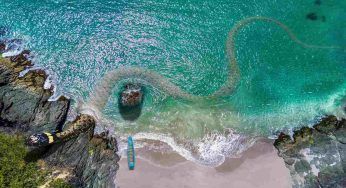 Serpente di mare: sai chi è il più velenoso al mondo