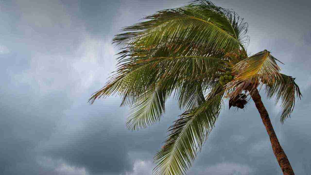 Florida uragano Idalia danni