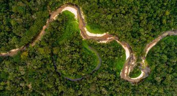 Giornata mondiale d’azione per l’Amazzonia: perchè è importante