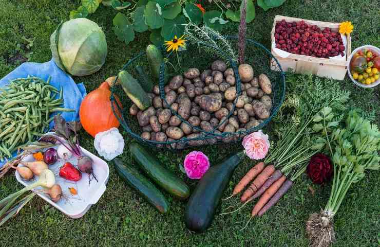 settembre orto raccolto 