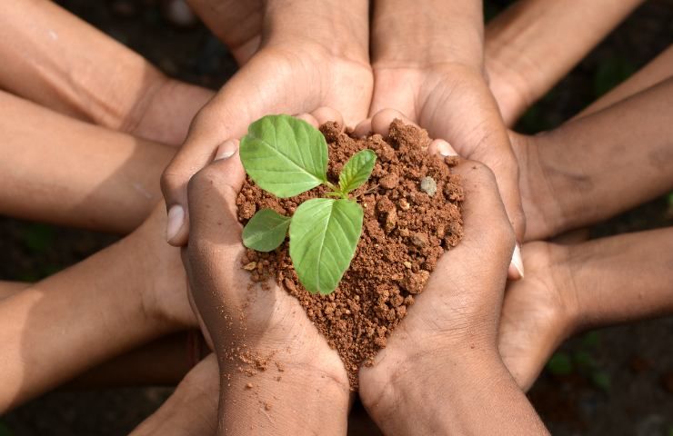 alimentazione sostenibile