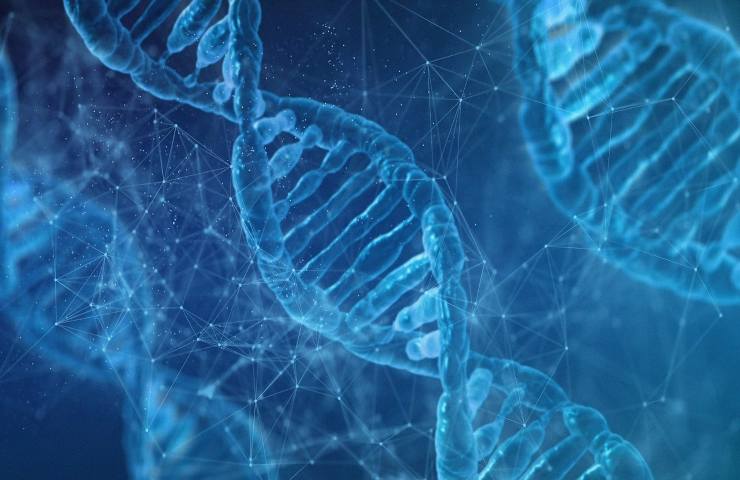 modificare dna arrestare invecchiamento