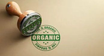 Ue, addio alle etichette generiche come “naturale” o “ecologico”