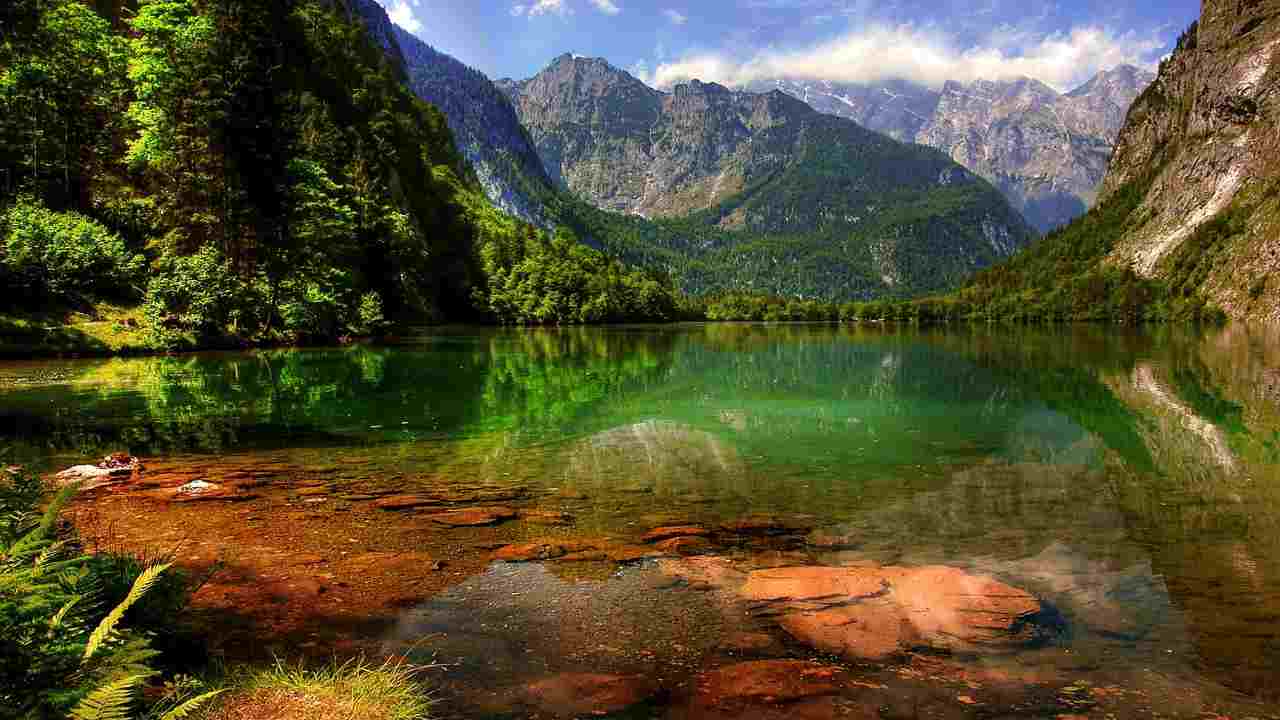 lago verde causa pesciolini