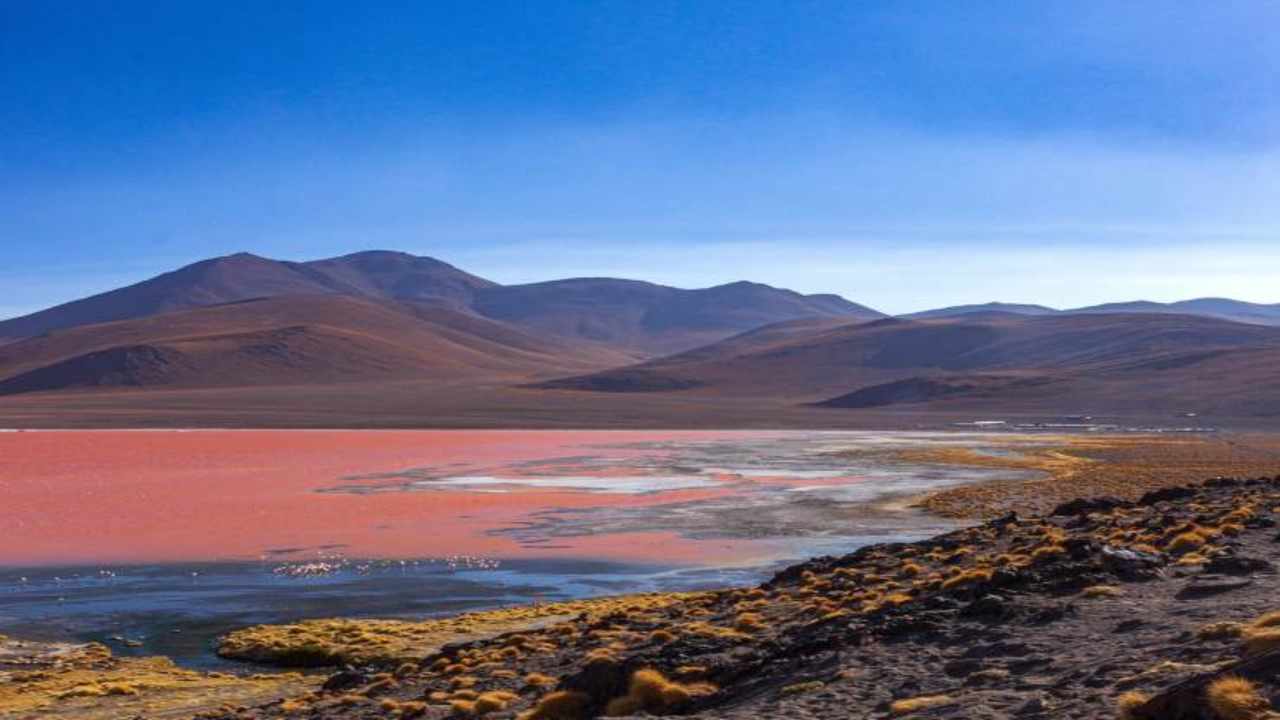 pietre viventi trovants fenomeno naturale suggestivo