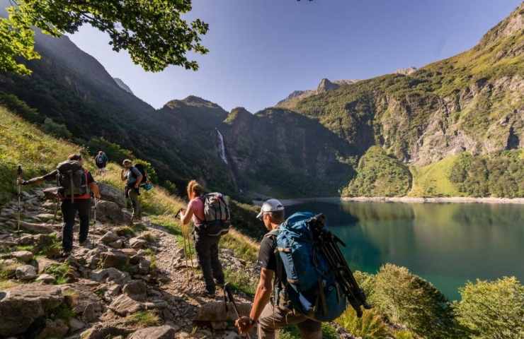 turisti e pesciolini esca rendono lago verde