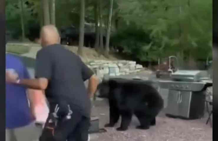 orso video persone