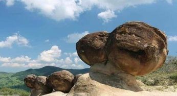 “Pietre viventi”: cosa sono le “trovants” e perché si muovono e crescono