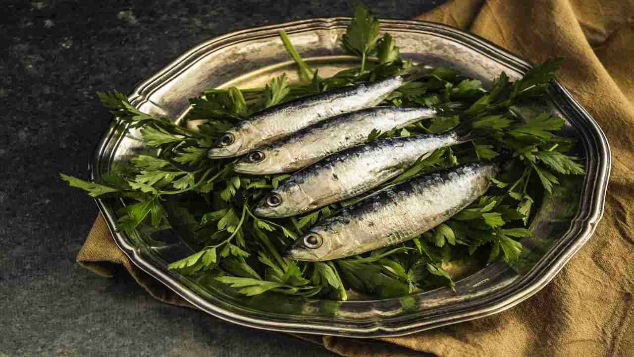 prezzemolo coltivazione sardine 