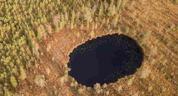 Torba, l’importanza per l’ambiente: tutti i dettagli