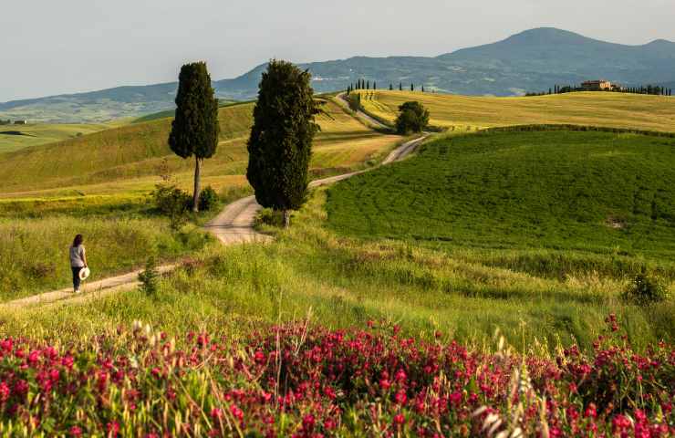 val di stava disastro cause