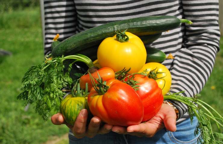 settembre orto vegetali 