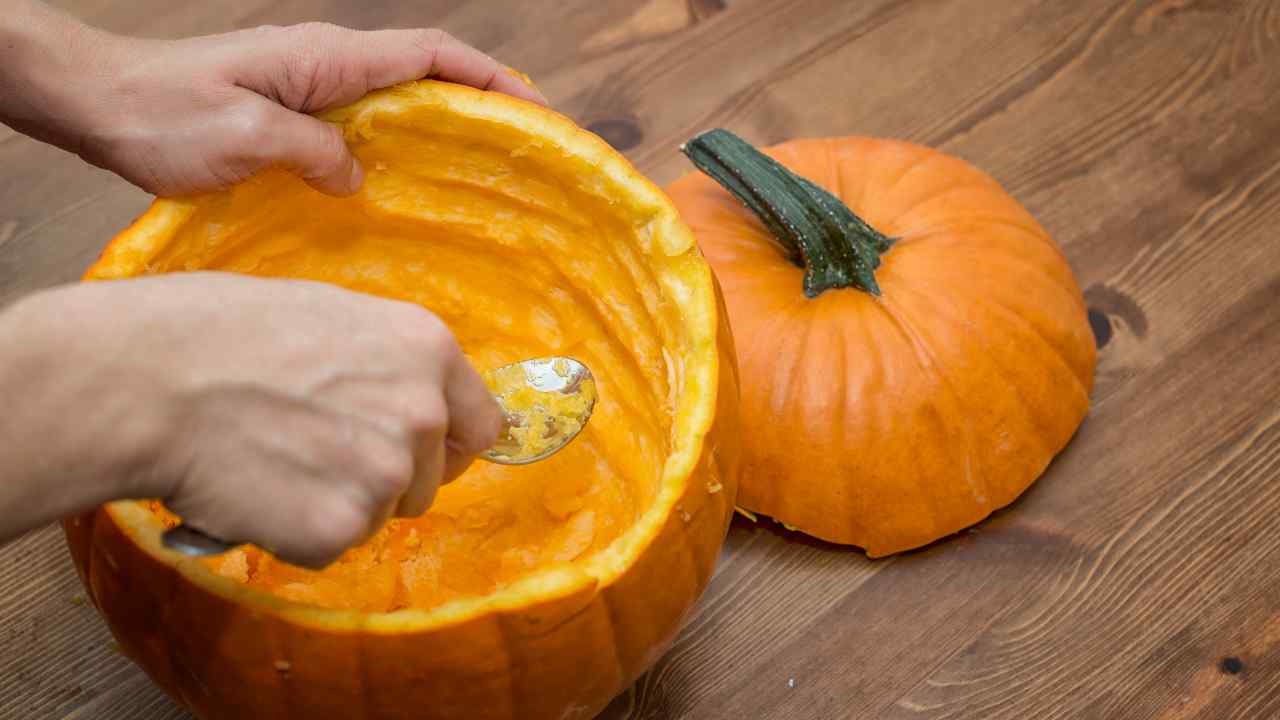 zucca contenitore