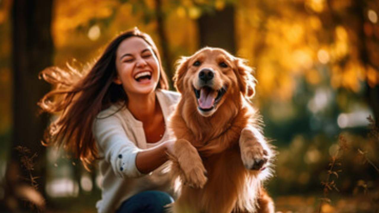 L'affetto del cane verso il padrone