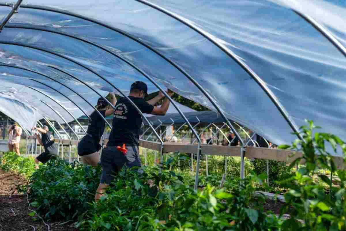 Nuovi orizzonti per l'agricoltura