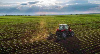 Transizione ecologica nelle aziende agricole: venerdì l’evento in programma a Cremona