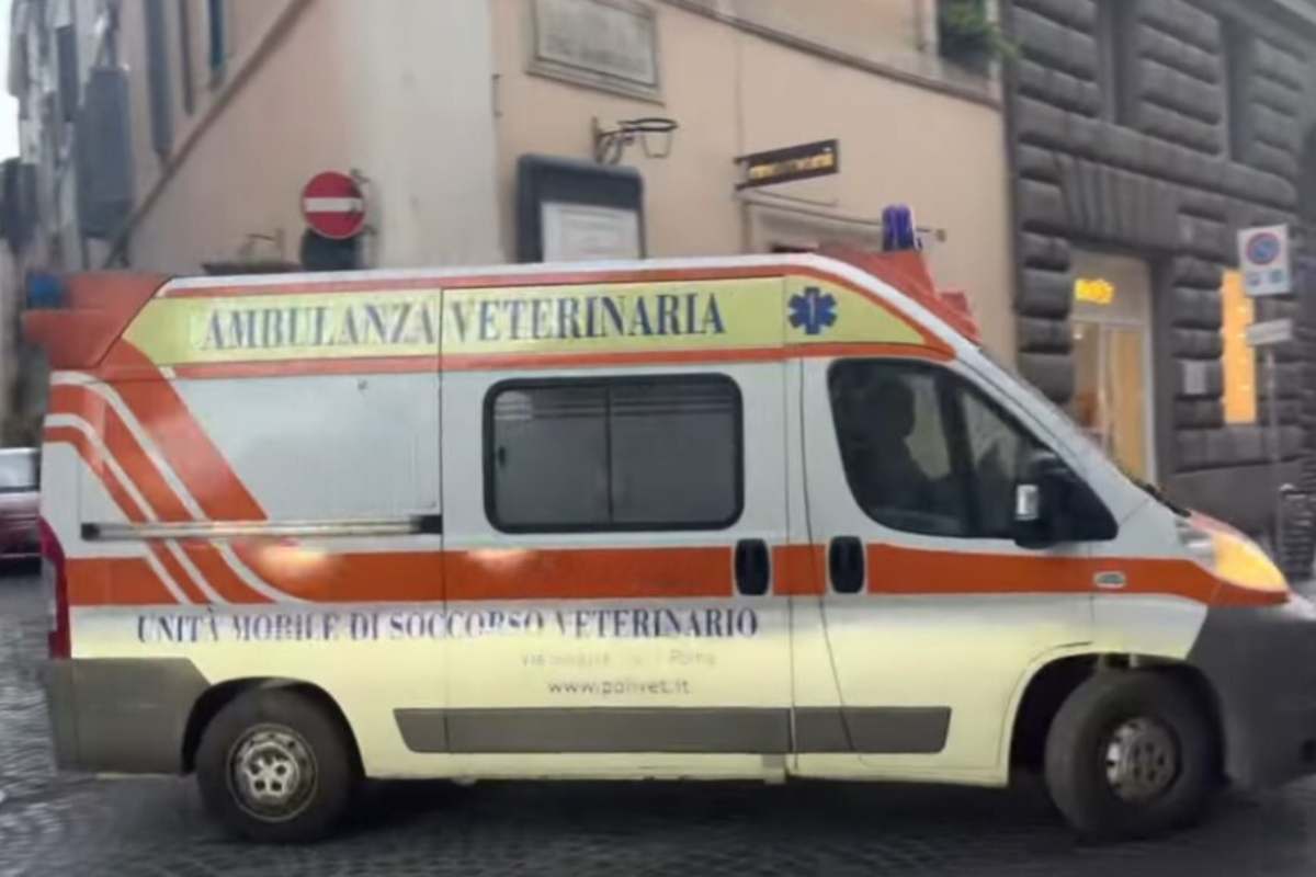 Unità mobile di soccorso veterinario