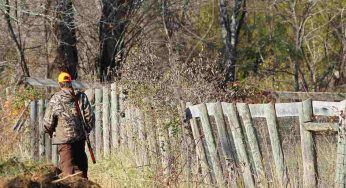 Battuta di caccia al cinghiale finisce in tragedia: morto un cacciatore