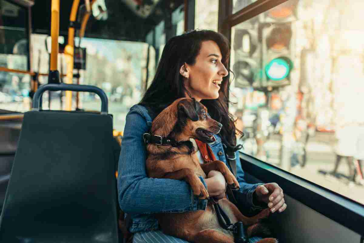 Cani in autobus