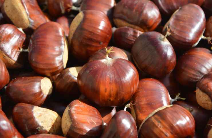 Castagne