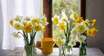 Hai ospiti e vuoi fare un figurone? Abbellisci la casa così, basteranno fiori e un vaso