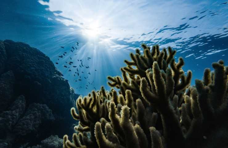 pratica estrazione mineraria fondali oceanici