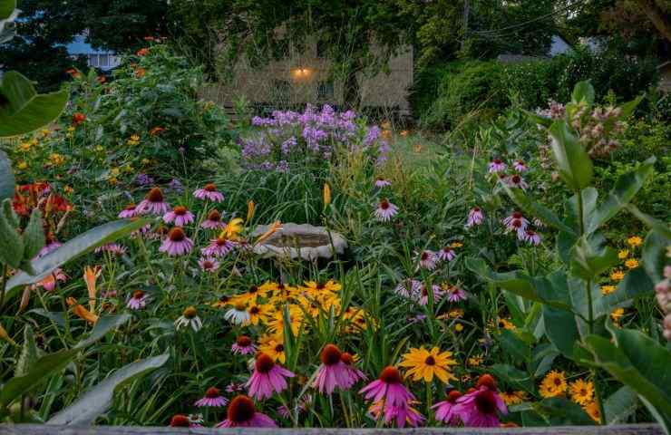 Giardino rigoglioso