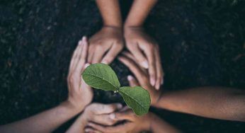 Quante sono le competenze indicate nel “green comp” e cos’è