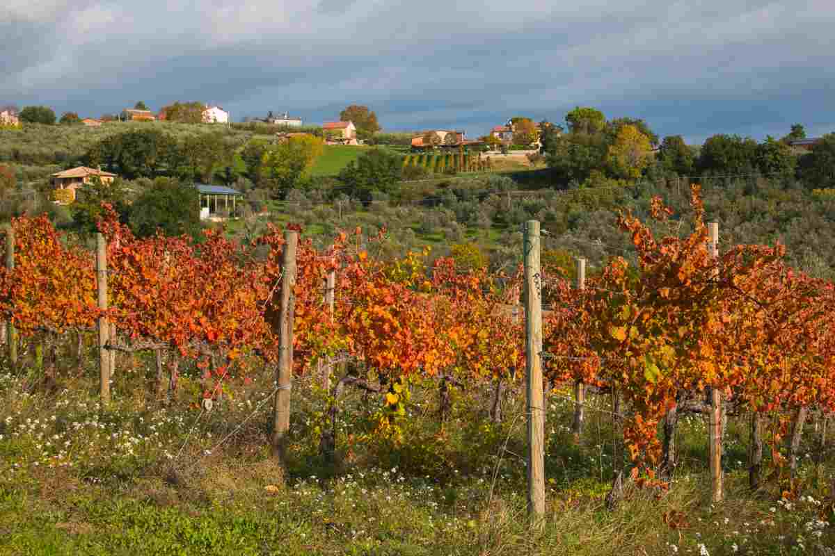 La Strada del Sagrantino