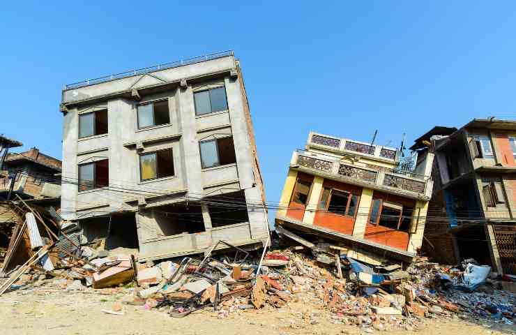 Gli animali sono in grado di prevedere i terremoti, perché percepiscono tutto