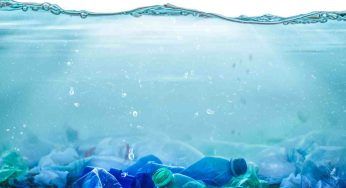 Inquinamento, i batteri mangia plastica potrebbero essere una soluzione?