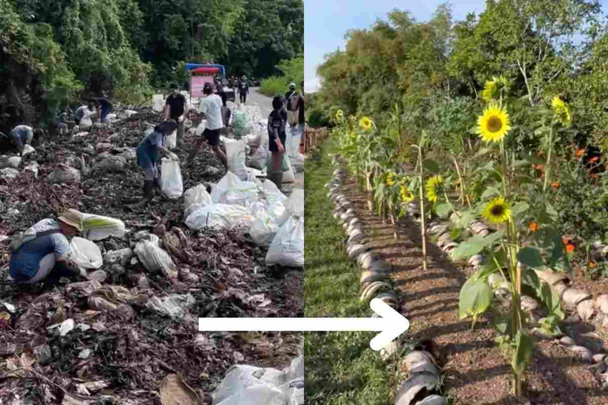 Prima e dopo la discarica