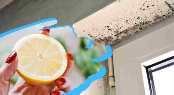 Puoi rimuovere la muffa con un limone: c’è questo metodo ‘segreto’