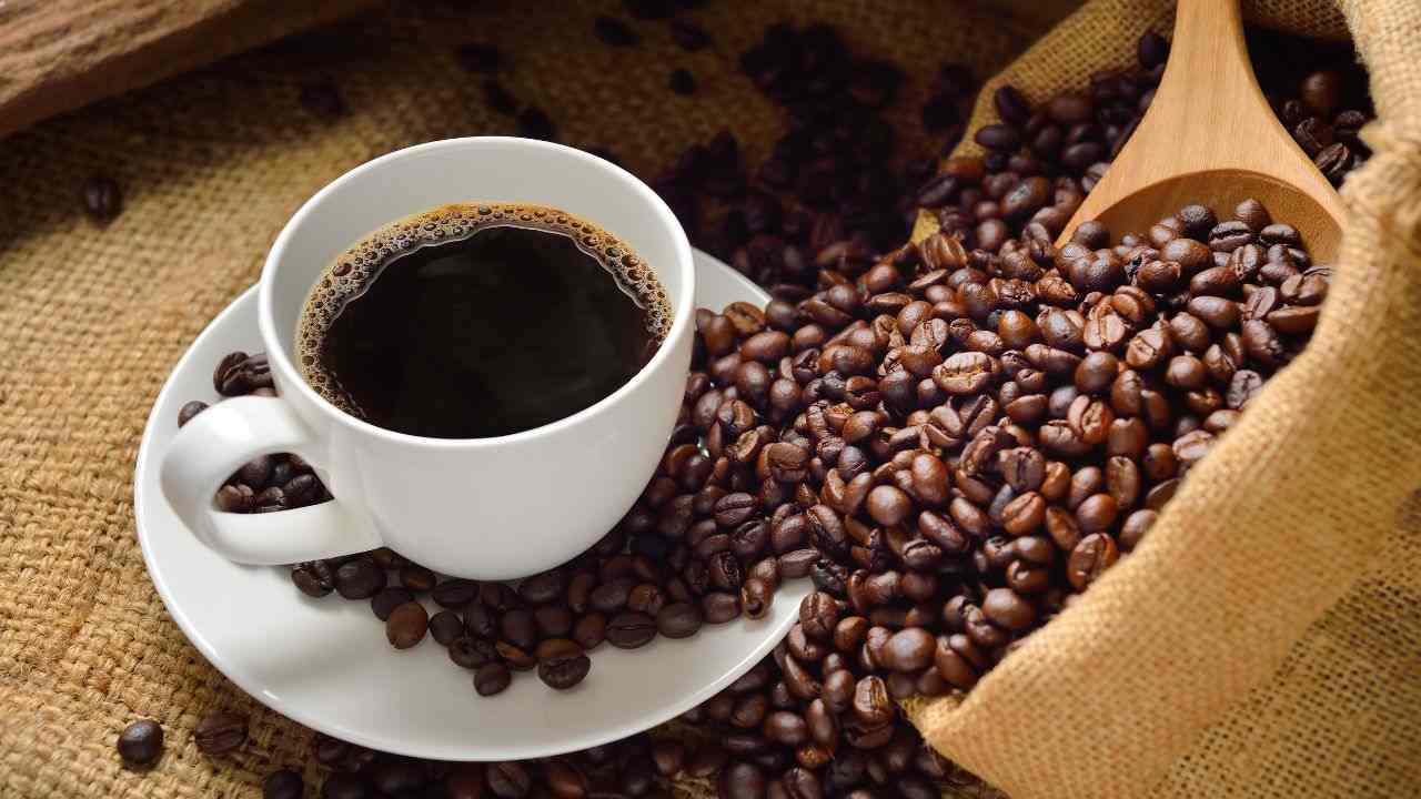 caffè potrebbe scomparire rimedi 