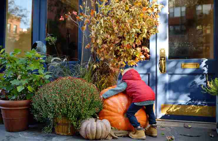 zucca gigante si può mangiare