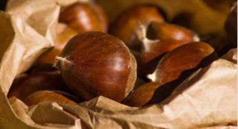 Sbuccia le castagne senza impazzire: il segreto che probabilmente non conosci